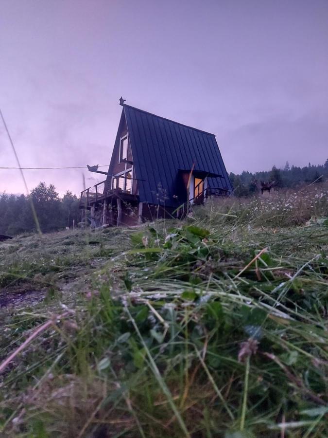 Oak House Palyanytsya Exterior foto