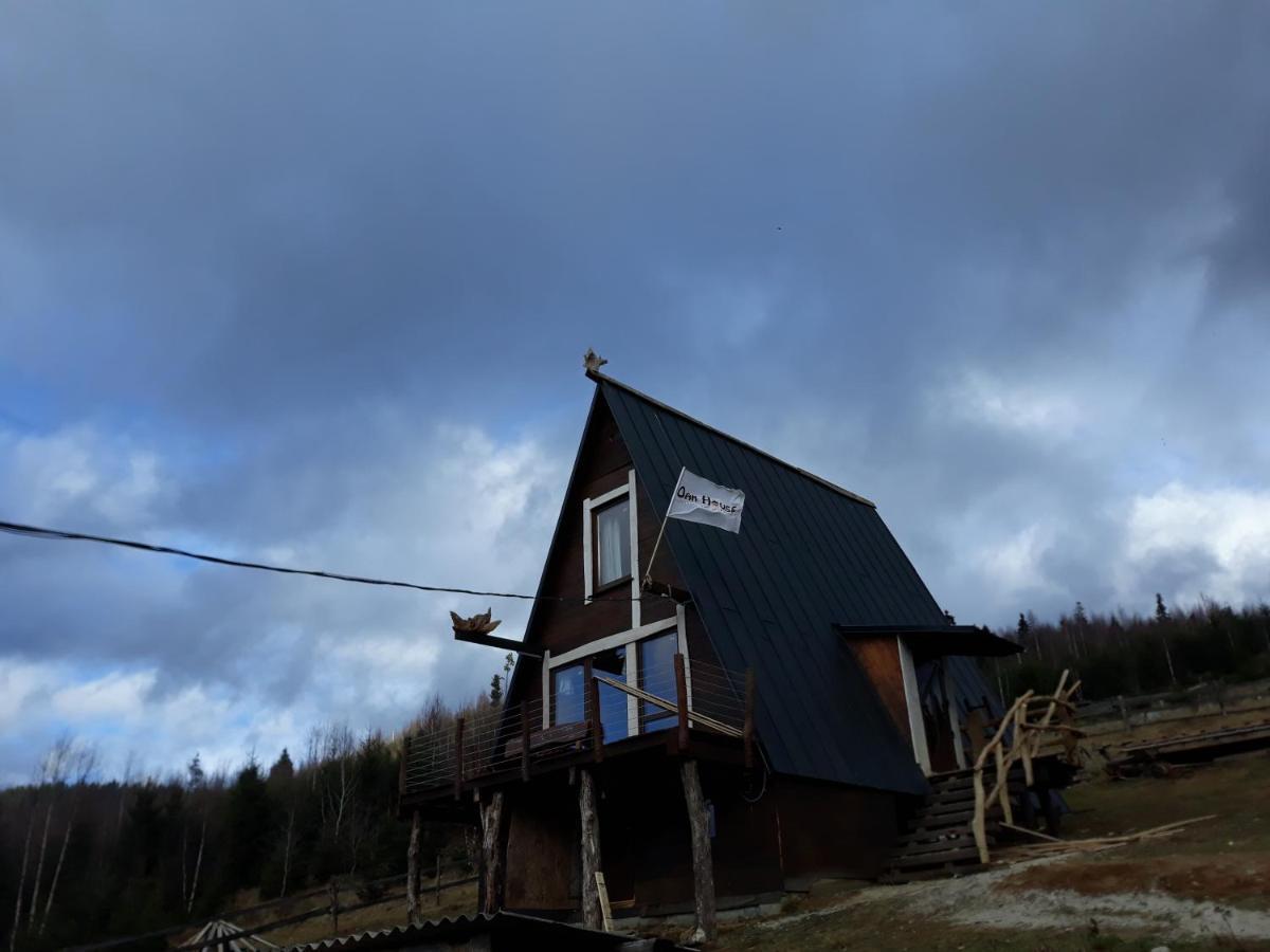 Oak House Palyanytsya Exterior foto