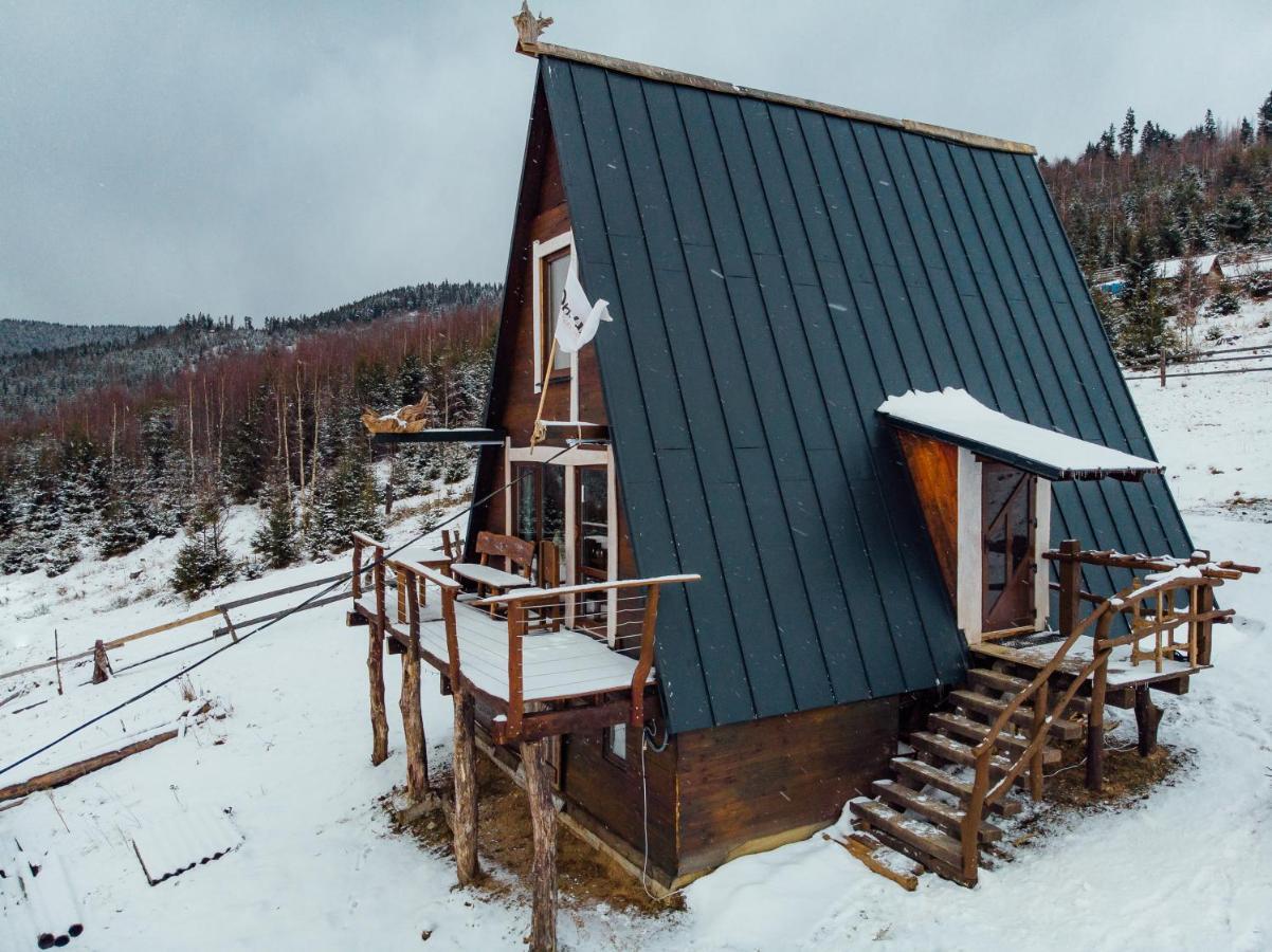 Oak House Palyanytsya Exterior foto